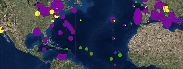 اخبار علمی,خبرهای علمی,طبیعت و محیط زیست,زباله های اقیانوسی