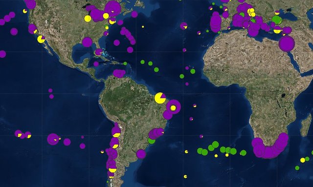 اخبار علمی,خبرهای علمی,طبیعت و محیط زیست,زباله های اقیانوسی