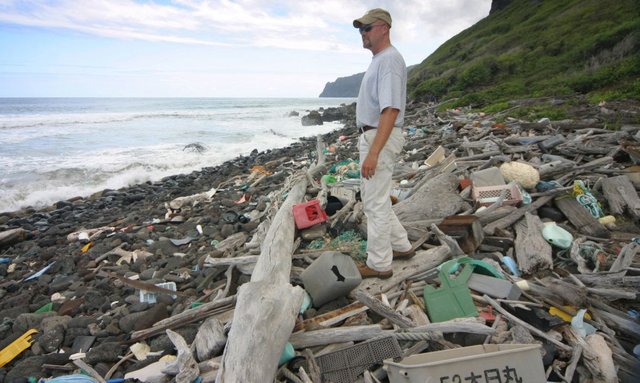 اخبار علمی,خبرهای علمی,طبیعت و محیط زیست,زباله های اقیانوسی