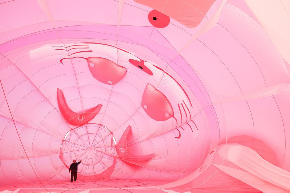 تصاویر بهترین عکس های جهان تصاویر بهترین عکس های جهان,عکس های بهترین تصاویر جهان,عکس های بهترین تصاویر منتشرشده در فضای مجازی