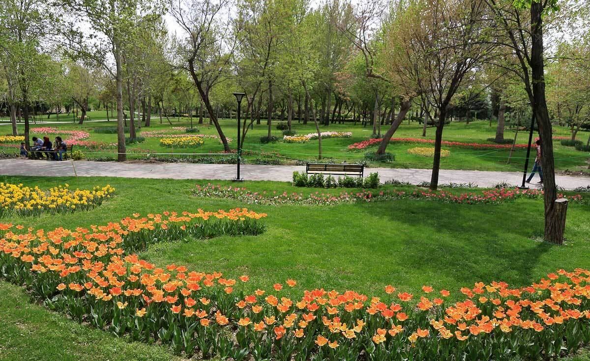 تصاویر جشنواره گل مشهد,عکسهای جشنواره گل,تصاویرجشنواره گل‌های پیازی
