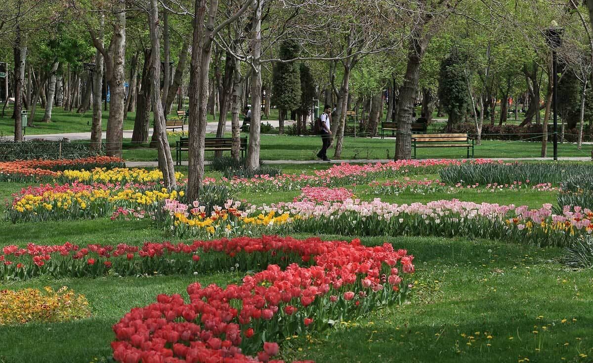تصاویر جشنواره گل مشهد,عکسهای جشنواره گل,تصاویرجشنواره گل‌های پیازی