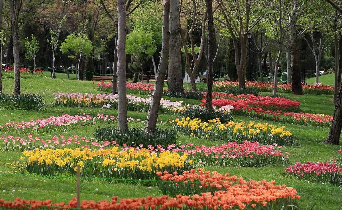 تصاویر جشنواره گل مشهد,عکسهای جشنواره گل,تصاویرجشنواره گل‌های پیازی