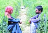 اخبار فیلم و سینما,خبرهای فیلم و سینما,سینمای ایران,سریال ‏سازی