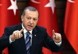 اخبار سیاسی,خبرهای سیاسی,سیاست خارجی,رجب طیب اردوغان