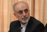 اخبار سیاسی,خبرهای سیاسی,دولت,علی اکبر صالحی