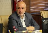 اخبار اقتصادی,خبرهای اقتصادی,نفت و انرژی,حمید چیت چیان