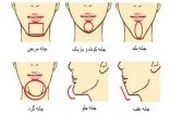 اخبار پزشکی,خبرهای پزشکی,مشاوره پزشکی,شخصیت شناسی