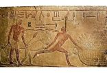 اخبار جالب,خبرهای جالب,خواندنی ها و دیدنی ها,بابون، حیوان هوشمند مصریان باستان برای گرفتن مجرمان + تصاویر