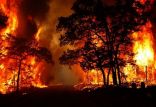 اخبار علمی,خبرهای علمی,طبیعت و محیط زیست,آتش سوزی جنگل