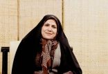 اخبار سیاسی,خبرهای سیاسی,مجلس,ذوالقدر
