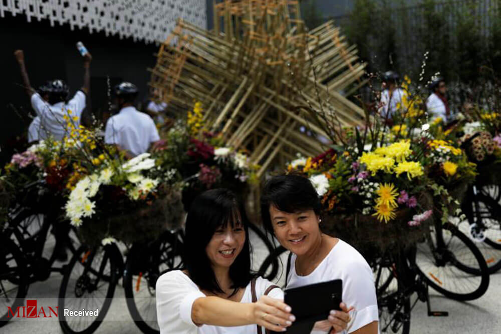 تصاویر جشنواره گل در خیابان های سائو پائولو,عکس های جشنواره گل در خیابان های سائو پائولو,عکس های جشنواره گل در برزیل