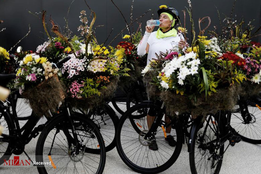 تصاویر جشنواره گل در خیابان های سائو پائولو,عکس های جشنواره گل در خیابان های سائو پائولو,عکس های جشنواره گل در برزیل