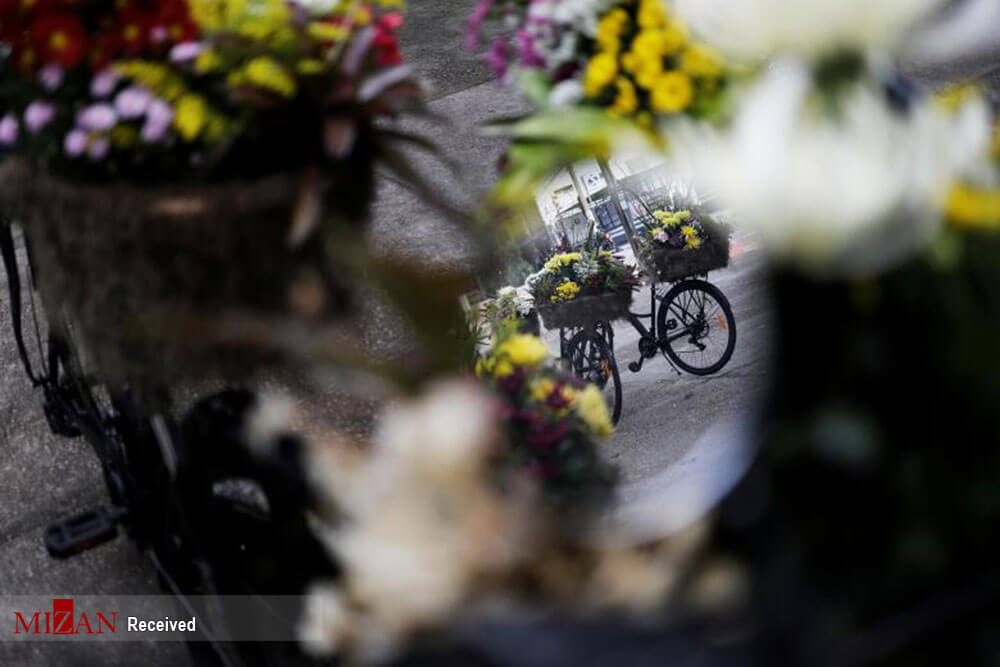 تصاویر جشنواره گل در خیابان های سائو پائولو,عکس های جشنواره گل در خیابان های سائو پائولو,عکس های جشنواره گل در برزیل