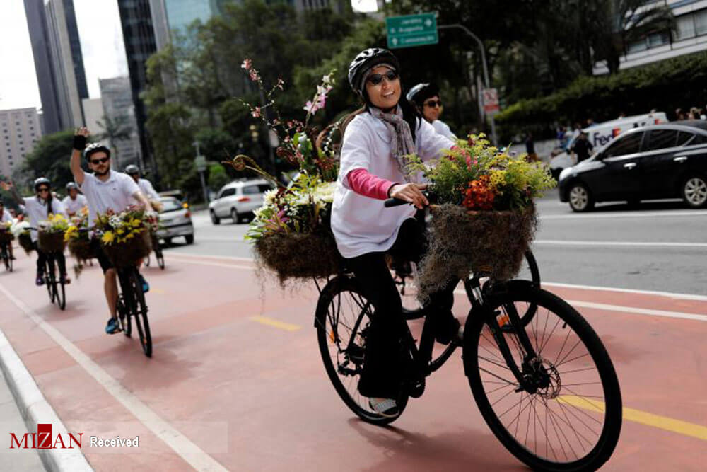 تصاویر جشنواره گل در خیابان های سائو پائولو,عکس های جشنواره گل در خیابان های سائو پائولو,عکس های جشنواره گل در برزیل