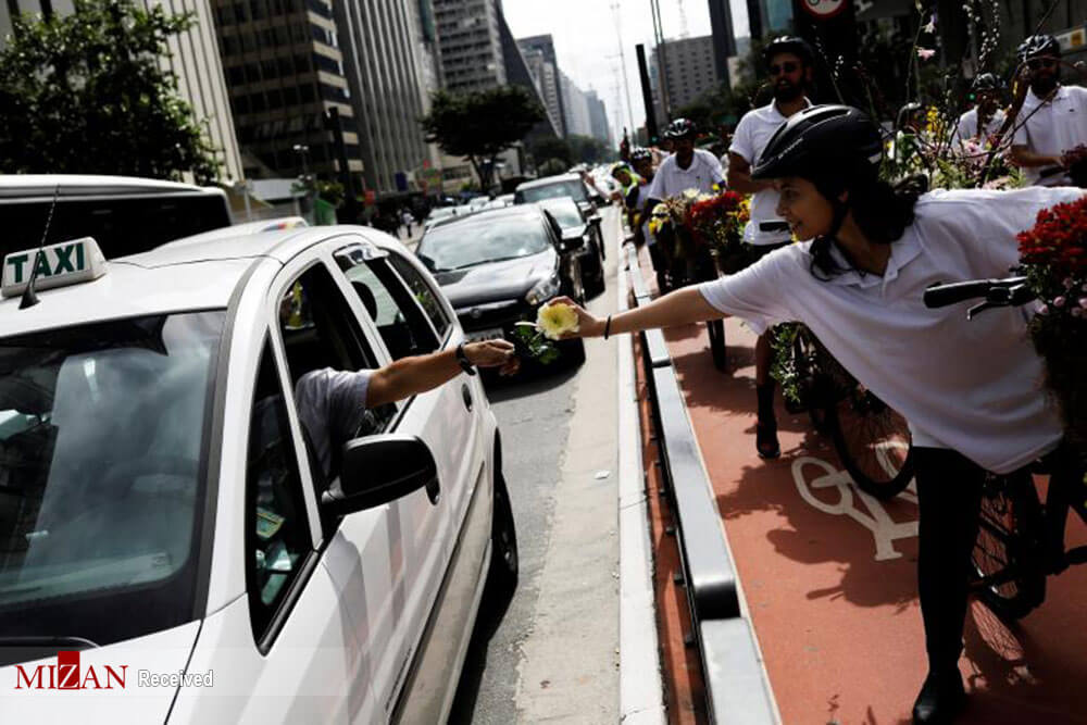 تصاویر جشنواره گل در خیابان های سائو پائولو,عکس های جشنواره گل در خیابان های سائو پائولو,عکس های جشنواره گل در برزیل