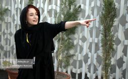 عکس های سی و پنجمین جشنواره جهانی فیلم فجر,تصاویر سی و پنجمین جشنواره جهانی فیلم فجر,عکس های هنرمندان در سی و پنجمین جشنواره جهانی فیلم فجر