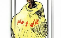 کاریکاتور,عکس کاریکاتور,کاریکاتور سیاسی اجتماعی,کاریکاتور کنایه ابراهیم رئیسی به حسن روحانی در مناظره تلویزیونی