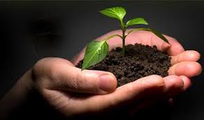 اخبار پزشکی,خبرهای پزشکی,بهداشت,پیشگیری و مبارزه با مواد مخدر