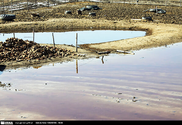 گرگان،محیط زیست،خبرهای اجتماعی،اخبار اجتماعی اخبار اجتماعی,خبرهای اجتماعی,محیط زیست,گرگان