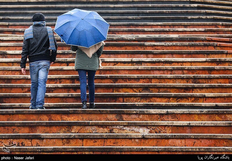 اخبار اجتماعی,خبرهای اجتماعی,محیط زیست,بارش باران