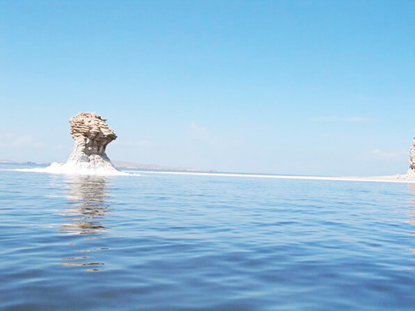 اخبار اجتماعی,خبرهای اجتماعی,محیط زیست,دریاچه ارومیه