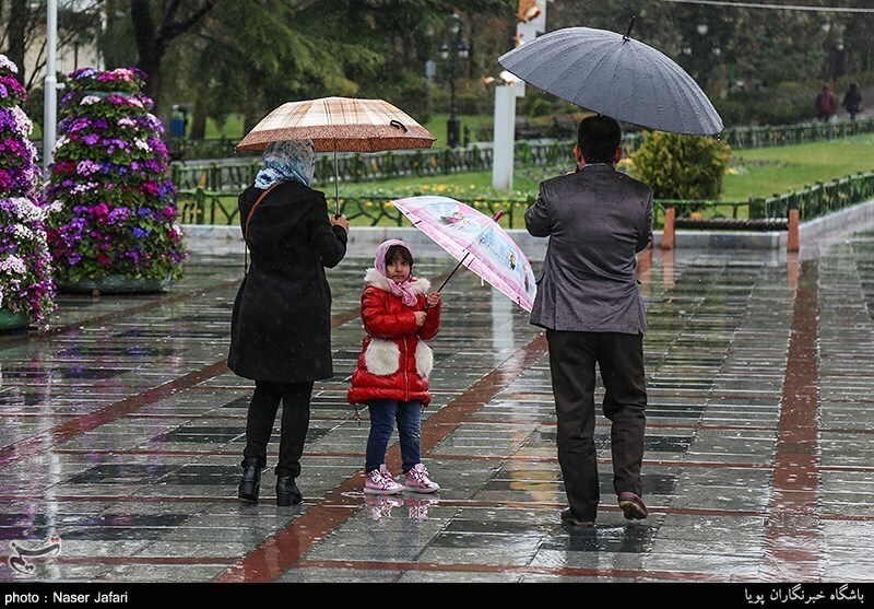 اخبار اجتماعی,خبرهای اجتماعی,محیط زیست,هوای بارانی