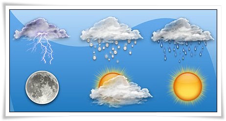 اخبار اجتماعی,خبرهای اجتماعی,محیط زیست,مواج بودن سواحل خلیج فارس