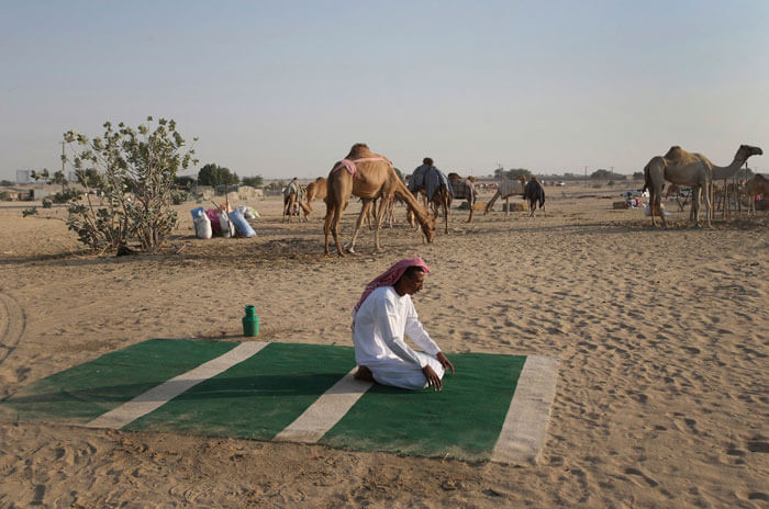 اخبار جالب,خبرهای جالب,خواندنی ها و دیدنی ها,مسابقات شترسواری