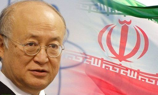 اخبار سیاسی,خبرهای سیاسی,سیاست خارجی,مدیر کل آژانس بین المللی انرژی اتمی