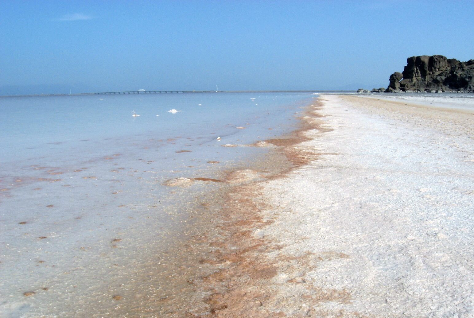 اخبار علمی,خبرهای علمی,طبیعت و محیط زیست,دریاچه ارومیه