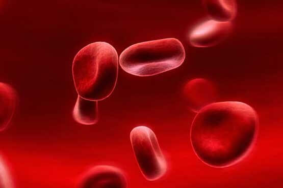 خون مصنوعی،اختراعات و پژوهش،خبرهای علمی،اخبار علمی اخبار علمی,خبرهای علمی,اختراعات و پژوهش,خون مصنوعی