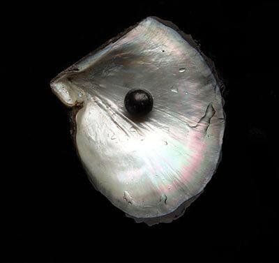 اخبار علمی,خبرهای علمی,پژوهش,مروارید