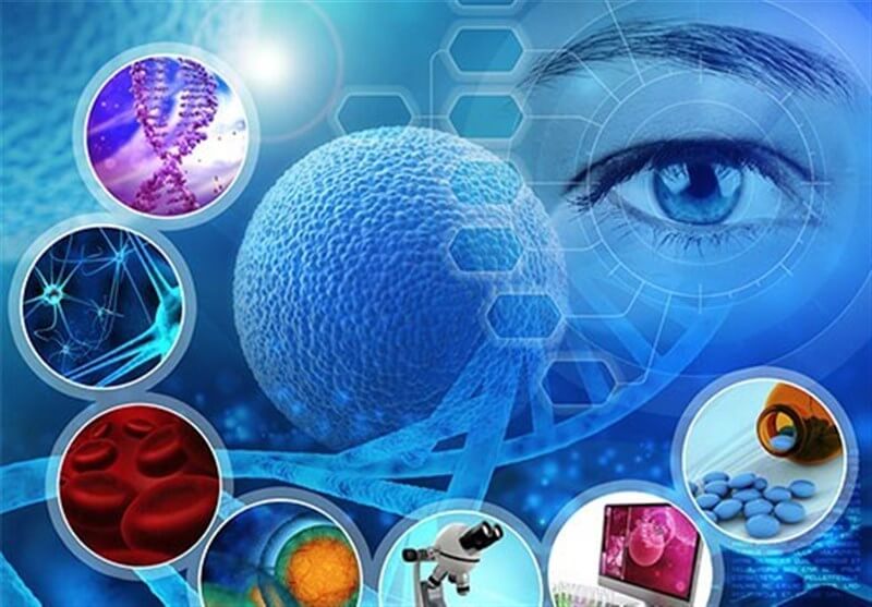 سلول،تازه های پزشکی،خبرهای پزشکی،اخبار پزشکی اخبار پزشکی,خبرهای پزشکی,تازه های پزشکی,سلول