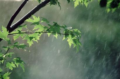 اخبار علمی,خبرهای علمی,طبیعت و محیط زیست,بارش باران دراستان ها