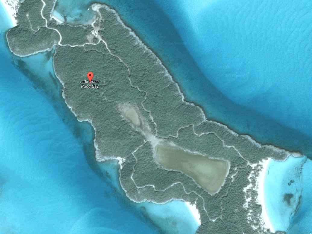 اخبار هنرمندان,خبرهای هنرمندان,اخبار بازیگران,جانی دپ