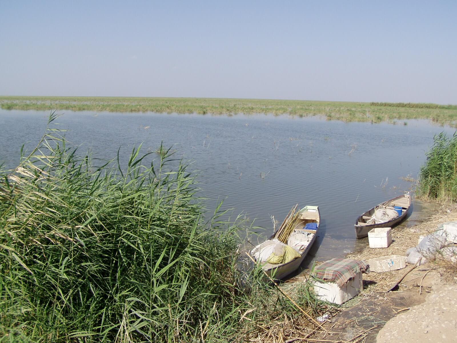 هورالعظیم،محیط زیست،خبرهای اجتماعی،اخبار اجتماعی اخبار اجتماعی,خبرهای اجتماعی,محیط زیست,هورالعظیم