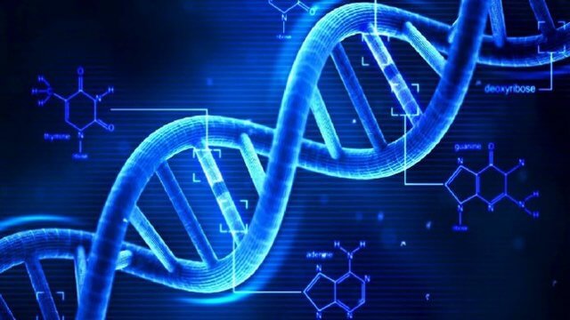 اخبار پزشکی,خبرهای پزشکی,تازه های پزشکی,DNA