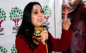 اخبار سیاسی,خبرهای سیاسی,اخبار بین الملل,فيگن يوکسک‌داغ زاده