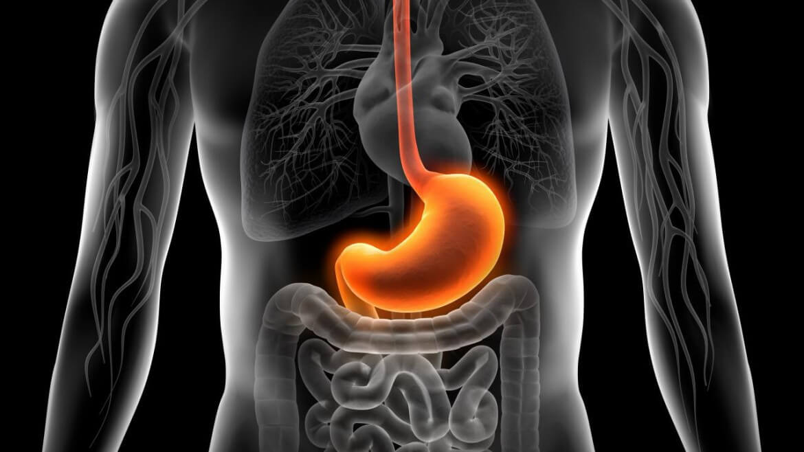 اخبار پزشکی,خبرهای پزشکی,مشاوره پزشکی,مشکلات گوارشی