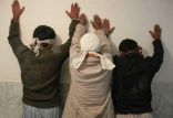اخبار حوادث,خبرهای حوادث,جرم و جنایت,دستگیری باند سارقان