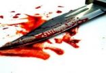 اخبار حوادث,خبرهای حوادث,جرم و جنایت,قتل پسرعموی شاعر معروف
