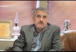 اخبار سیاسی,خبرهای سیاسی,احزاب و شخصیتها,محسن صفايي‌فراهاني