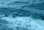 اخبار علمی,خبرهای علمی,طبیعت و محیط زیست,اقیانوس دریا آب