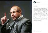 اخبار هنرمندان,خبرهای هنرمندان,بازیگران سینما و تلویزیون,انتقاد رویا میرعلمی از قالیباف