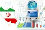 اخبار علمی,خبرهای علمی,پژوهش,سهم رشته‌های مختلف از تولید علم برتر