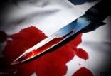 اخبار حوادث,خبرهای حوادث,جرم و جنایت,قتل عمد با چاقو