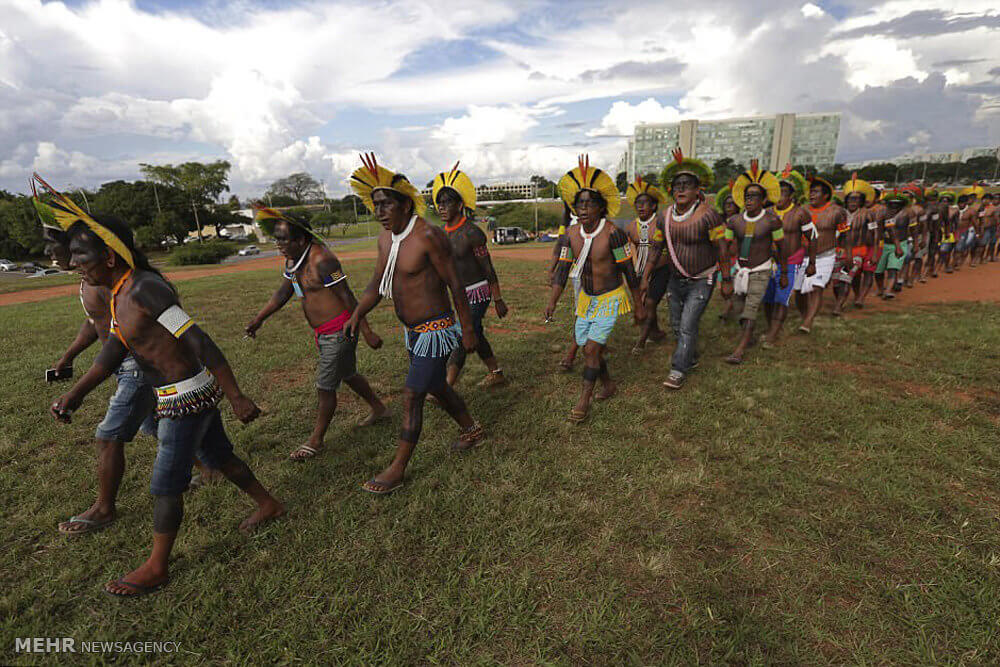تصاویر تظاهرات سرخ پوستان در برزیل تصاویر تظاهرات سرخ پوستان در برزیل,عکس های تظاهرات سرخ پوستان در برزیل,عکس های تظاهرات یک قبیله بومی سرخپوستی در برزیل