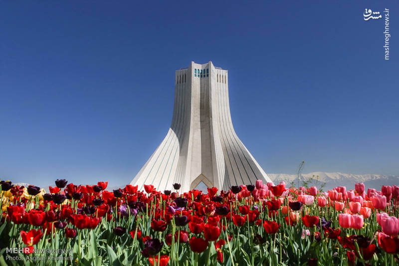 تصاویر گل لاله در تهران,عکسهای گل لاله در تهران,تصاویر لاله‌های رنگارنگ در تهران
