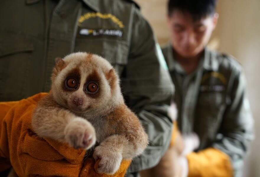 تصاویر حیاتوحش در هفتهای که گذشت تصاویر حیاتوحش در هفتهای که گذشت,عکس های حیاتوحش در هفتهای که گذشت,عکس های دیدنی های حیات وحش